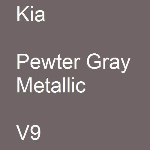 Kia, Pewter Gray Metallic, V9.